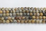 CAA2352 15.5 inches 12mm round crazy lace agate beads wholesale