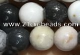 CAA3576 15.5 inches 6mm round parral dendrite agate beads