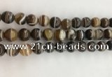 CAA3801 15.5 inches 10mm round line agate beads wholesale