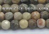 CAA3960 15.5 inches 4mm faceted round chrysanthemum agate beads