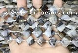 CAA4380 15.5 inches 12*12mm diamond Montana agate beads