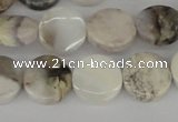 CAB100 15.5 inches 14mm coin natural brazil agate gemstone beads