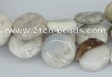 CAB101 15.5 inches 16mm flat round natural brazil agate beads