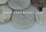 CAB103 15.5 inches 30mm flat round natural brazil agate beads
