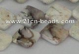 CAB122 15.5 inches 16*16mm diamond natural brazil agate beads