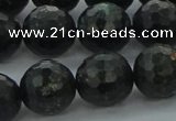 CAE39 15.5 inches 14mm faceted round astrophyllite beads wholesale