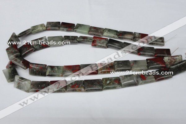 CAF01 15.5 inches 13*18mm rectangle African bloodstone beads