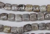 CAG1430 15.5 inches 8*8mm square silver needle agate beads