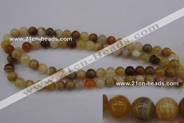 CAG4323 15.5 inches 10mm round botswana agate gemstone beads
