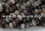 CAG746 15.5 inches 4*6mm faceted rondelle botswana agate beads