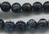 CAP02 16 inches 12mm round apatite gemstone beads wholesale