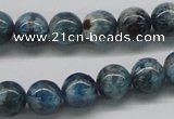CAP06 15.5 inches 10mm round apatite gemstone beads wholesale