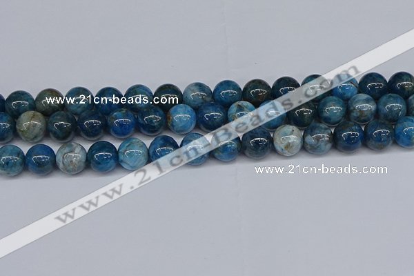 CAP414 15.5 inches 12mm round apatite gemstone beads wholesale