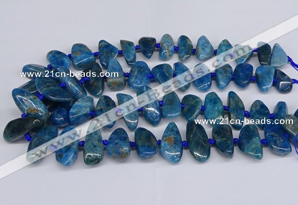 CAP533 15.5 inches 10*20mm - 15*35mm freeform apatite beads