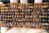 CAR215 15.5 inches 5mm round natural amber beads wholesale