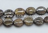 CBZ01 15.5 inches 12mm flat round bronzite gemstone beads wholesale