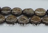 CBZ02 15.5 inches 14mm flat round bronzite gemstone beads wholesale
