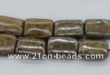 CBZ12 15.5 inches 12*16mm rectangle bronzite gemstone beads wholesale