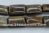 CBZ14 15.5 inches 13*18mm rectangle bronzite gemstone beads wholesale