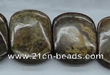 CBZ22 15.5 inches 20*30mm rectangle double drilled bronzite beads