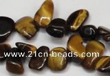 CCH327 15.5 inches 10*15mm tiger eye chips gemstone beads wholesale