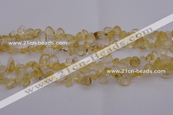 CCH612 15.5 inches 6*8mm - 10*14mm citrine chips gemstone beads