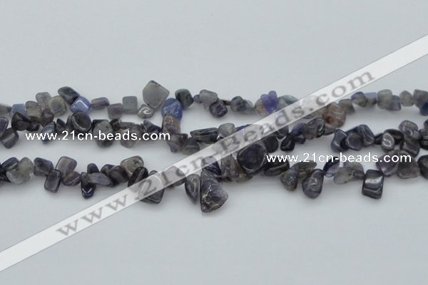 CCH627 15.5 inches 6*8mm - 10*14mm iolite gemstone chips beads