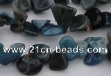 CCH628 15.5 inches 6*8mm - 10*14mm apatite gemstone chips beads