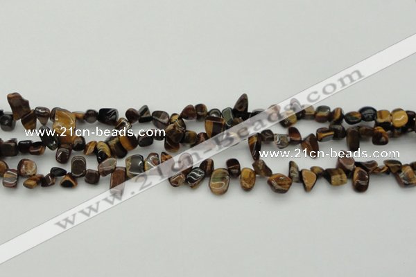 CCH638 15.5 inches 6*8mm - 10*14mm yellow tiger eye chips beads