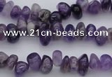CCH649 15.5 inches 4*6mm - 5*8mm amethyst gemstone chips beads