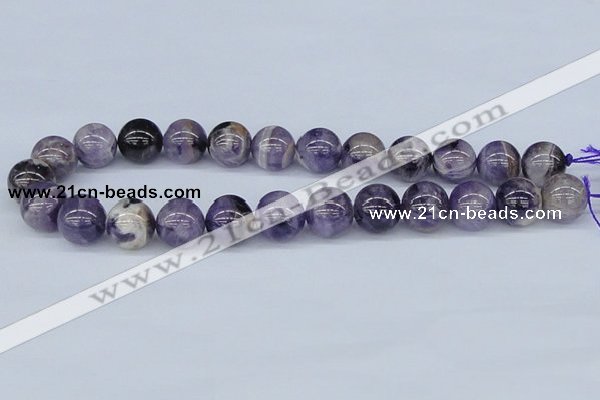 CDA56 15.5 inches 16mm round dogtooth amethyst beads wholesale