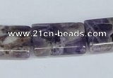 CDA87 15.5 inches 18*25mm flat column dogtooth amethyst beads
