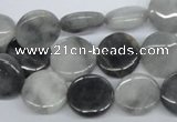 CEE202 15.5 inches 14mm flat round eagle eye jasper beads