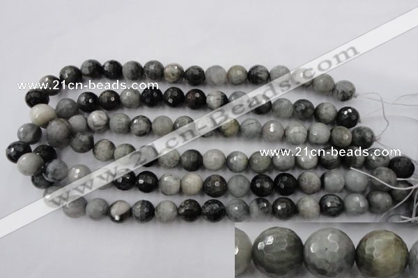 CEE354 15.5 inches 12mm faceted round eagle eye jasper beads