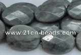 CEE43 15.5 inches 18*25mm faceted oval eagle eye jasper beads