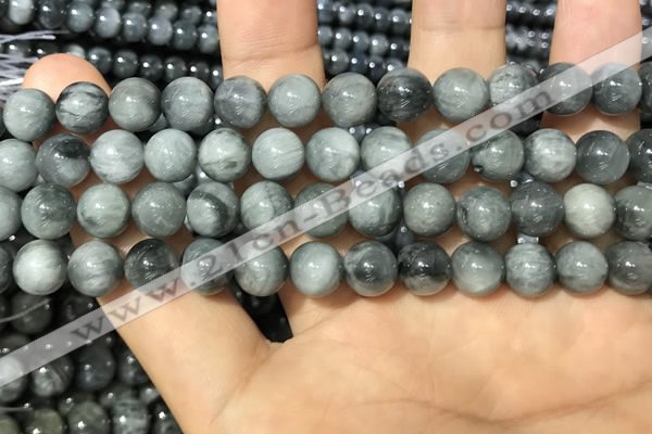 CEE516 15.5 inches 8mm round eagle eye jasper beads wholesale
