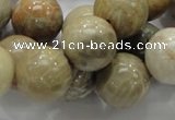 CFA04 15.5 inches 16mm round chrysanthemum agate gemstone beads