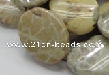 CFA21 15.5 inches 22*30mm twisted oval chrysanthemum agate beads