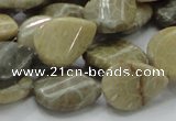 CFA23 15.5 inches 15*20mm twisted teardrop chrysanthemum agate beads