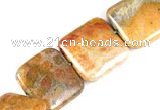 CFC09 15 inches 20mm square  fossil coral  beads Wholesale