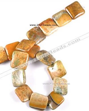 CFC09 15 inches 20mm square  fossil coral  beads Wholesale