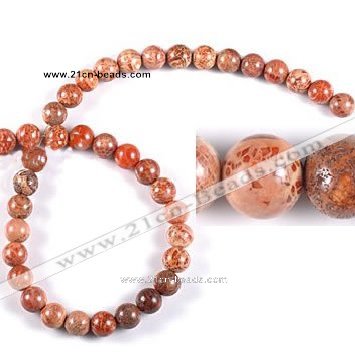 CFC35 15.5 inches 8mm round fossil coral  beads Wholesale