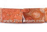 CFC41 18*25mm rectangle 16 inches fossil coral beads Wholesale