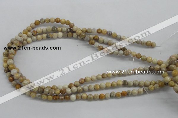 CFC60 15.5 inches 6mm round fossil coral beads wholesale
