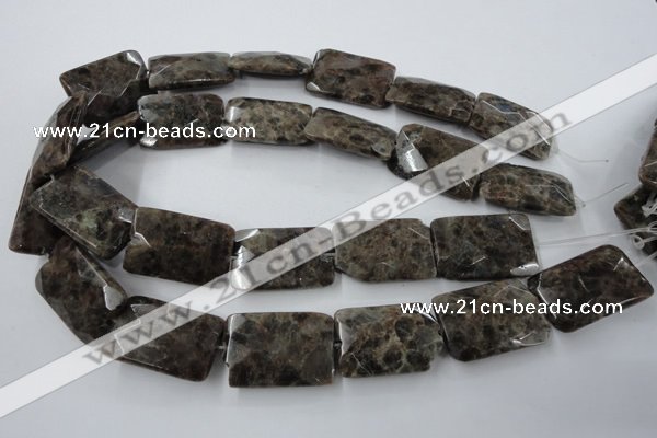 CLB426 15.5 inches 20*30mm faceted rectangle grey labradorite beads