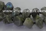 CLB765 15.5 inches 8*12mm - 12*16mm faceted nuggets labradorite beads