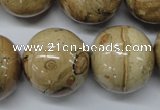CLD53 15.5 inches 25mm round African leopard skin jasper beads