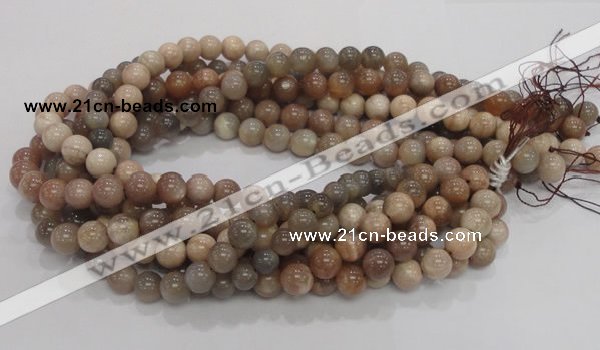 CMS03 15.5 inches 10mm round moonstone gemstone beads wholesale