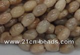 CMS06 15.5 inches 6*10mm rice moonstone gemstone beads wholesale