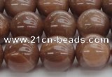 CMS1025 15.5 inches 14mm round AA grade moonstone gemstone beads